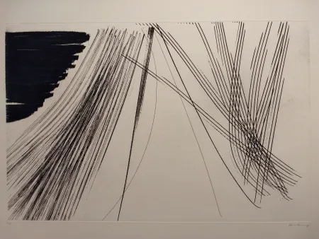 Acquaforte Hartung - Aguafuertes