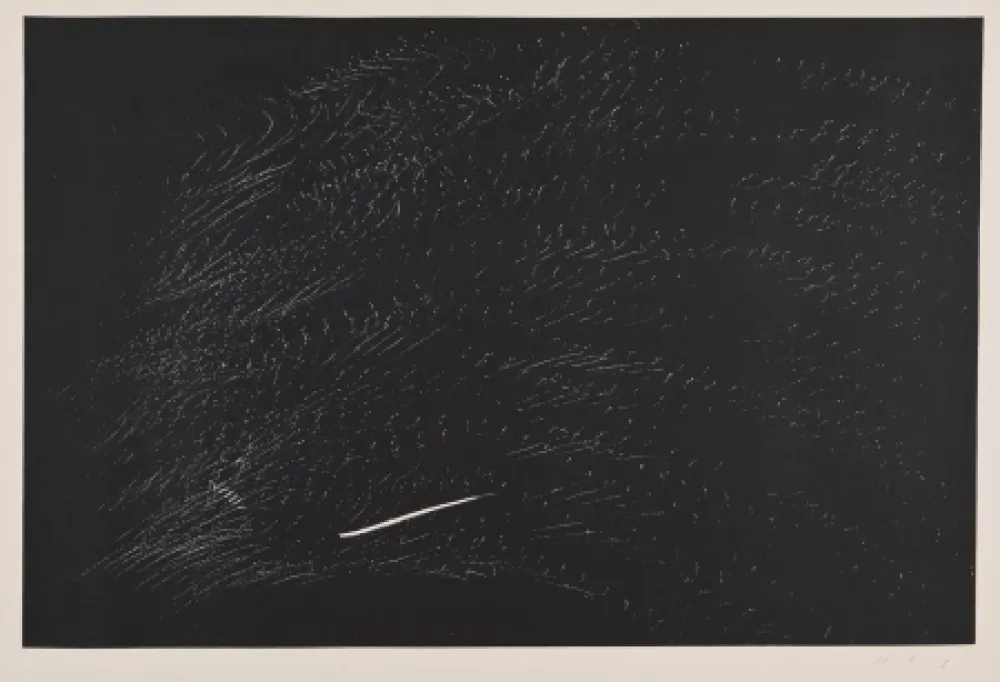 Litografia Hartung - Composición