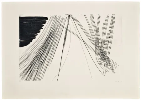 Acquaforte E Acquatinta Hartung - Ediciones la Cometa