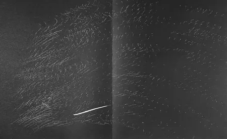 Litografia Hartung - Farandole