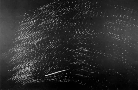 Litografia Hartung - Farandole 15