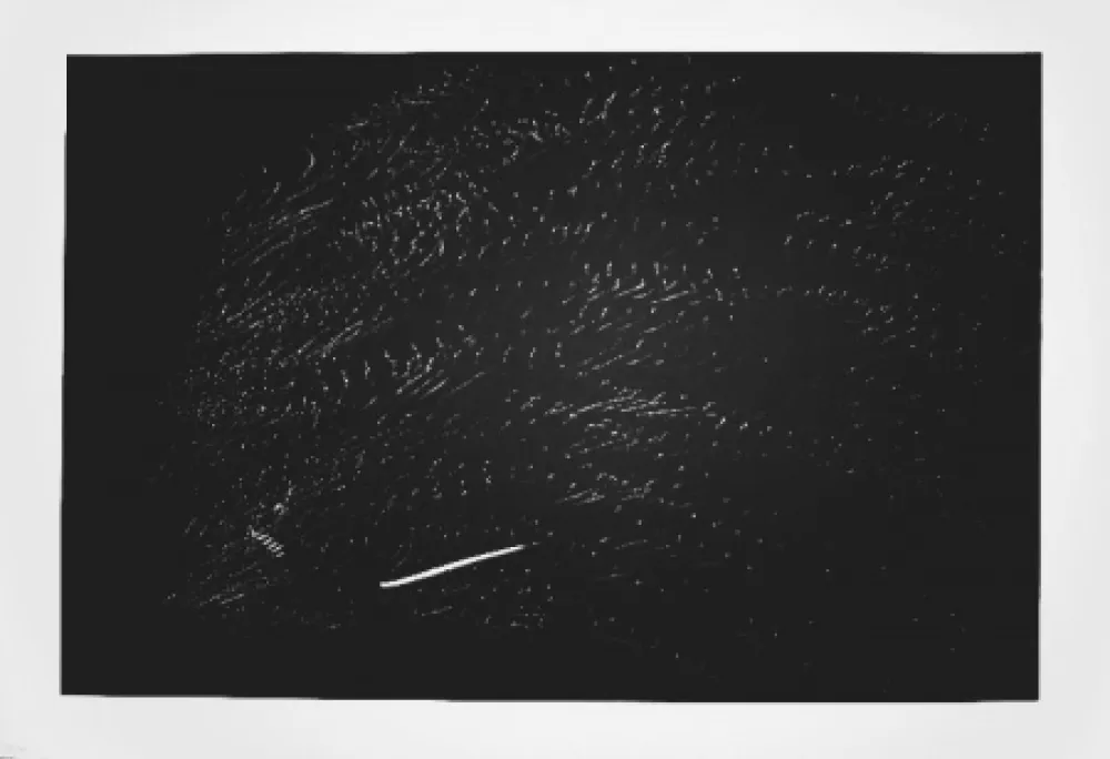 Litografia Hartung - Farandole 15