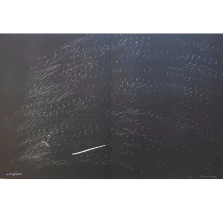 Litografia Hartung - Farandole 2