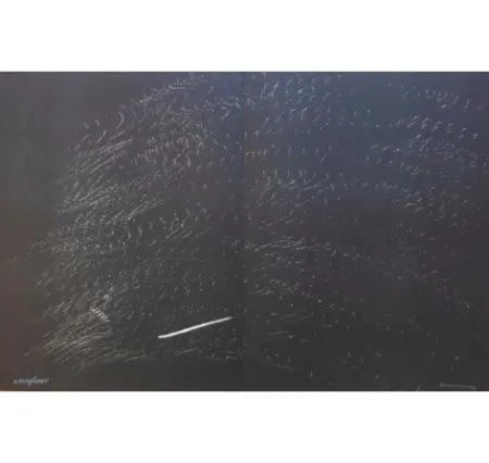 Litografia Hartung - Farandole B