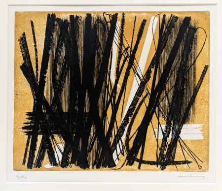 Acquaforte E Acquatinta Hartung - G5