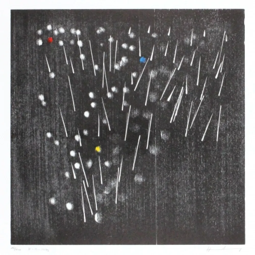 Incisione Su Legno Hartung - H-13-1973