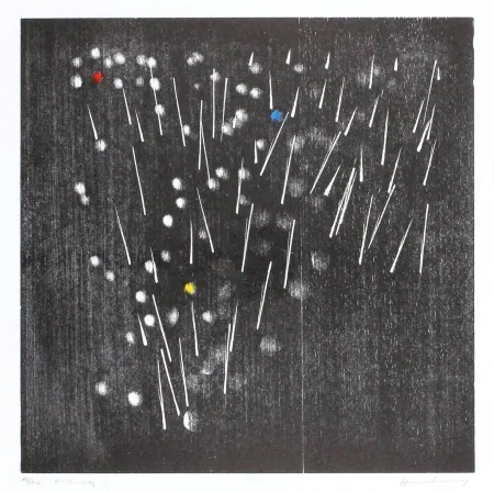 Incisione Su Legno Hartung - H-13-1973