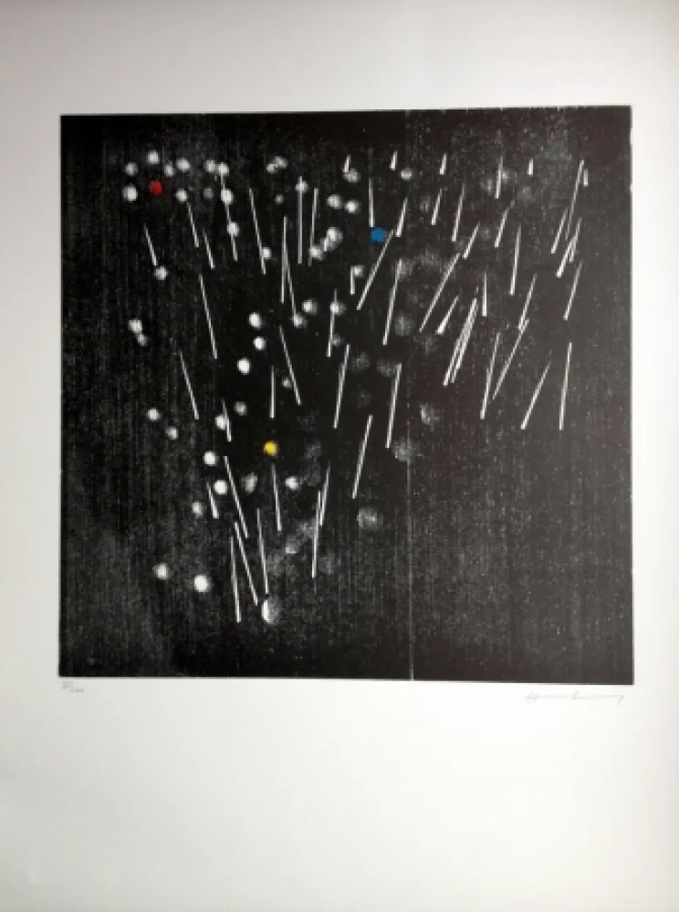 Incisione Su Legno Hartung - H 13