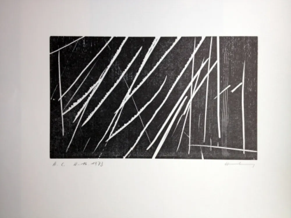 Incisione Su Legno Hartung - H 16