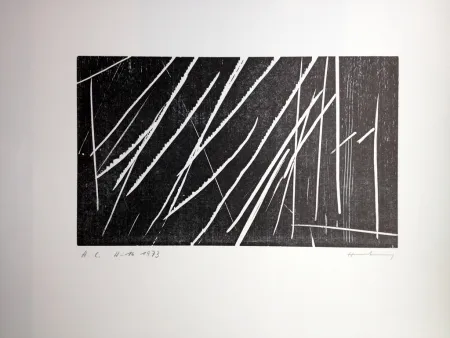 Incisione Su Legno Hartung - H 16