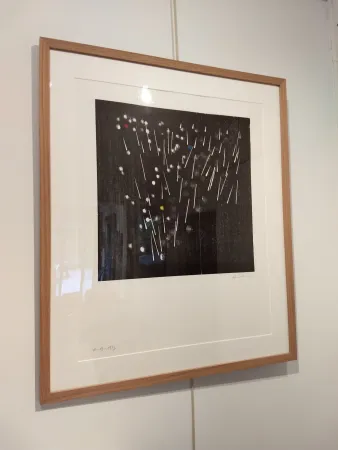 Litografia Hartung - H13