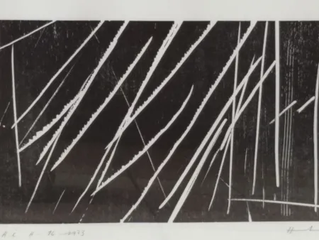 Litografia Hartung - H16