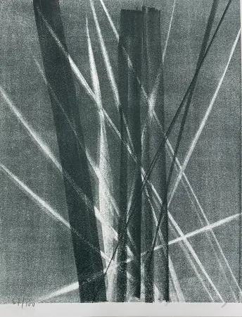 Litografia Hartung - Hans Arp