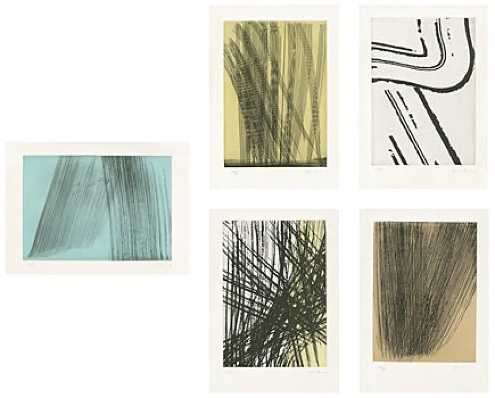 Libro Illustrato Hartung - 