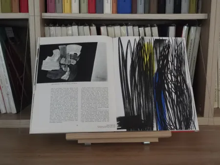 Libro Illustrato Hartung - Xxe lazzaro no 43