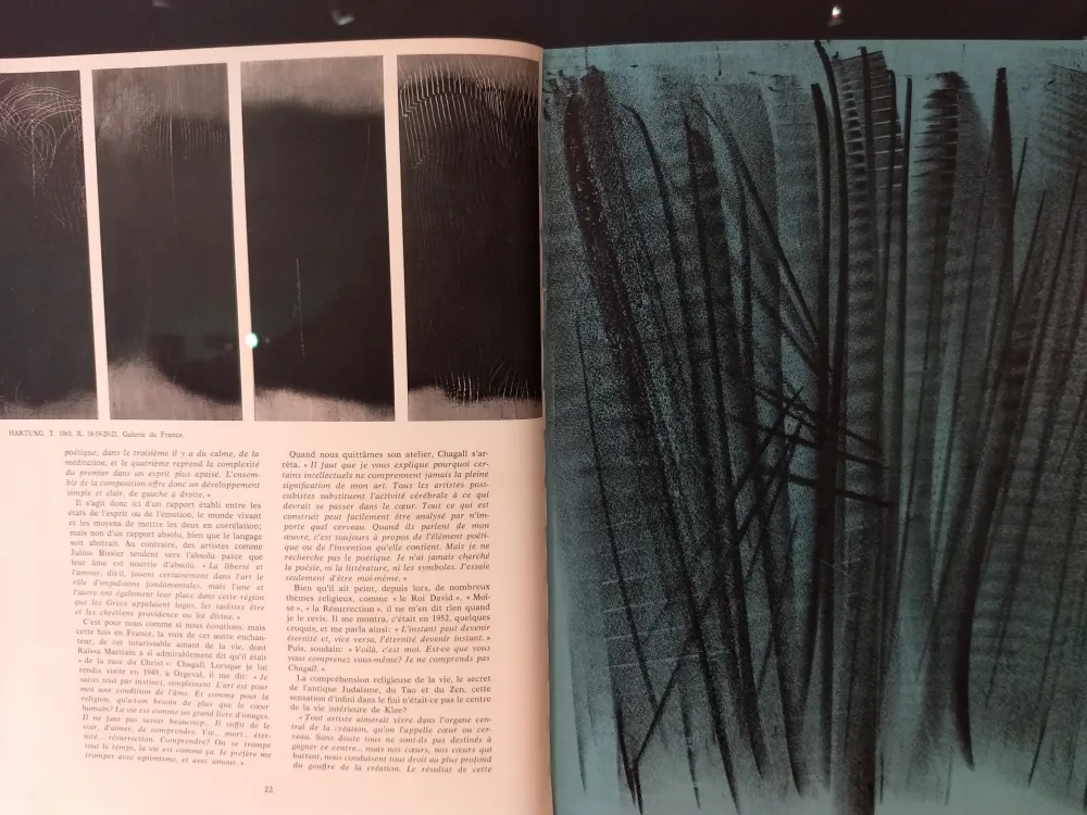 Libro Illustrato Hartung - XXE No 24