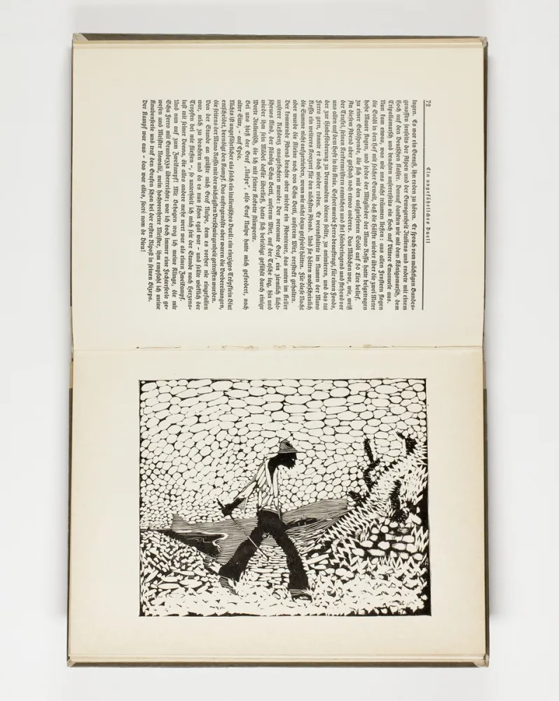 Libro Illustrato Hasemann - Himmel und Hölle auf der Landstraße