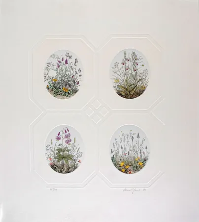 Acquaforte Hauck - Les Fleurs - Flowers