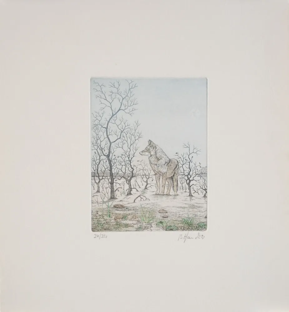 Acquaforte Hauck - Loup - Wolf