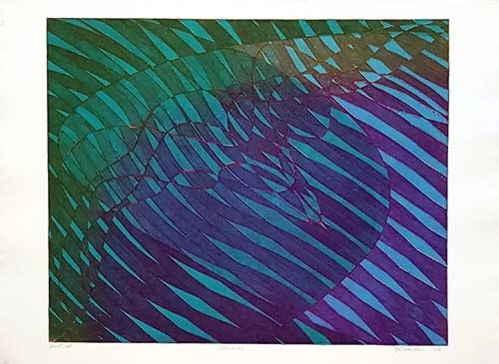 Incisione Hayter - Albatros