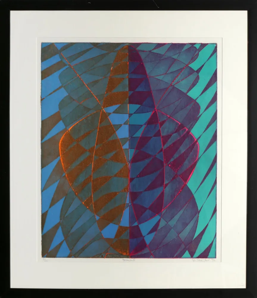 Incisione Hayter - Dromond