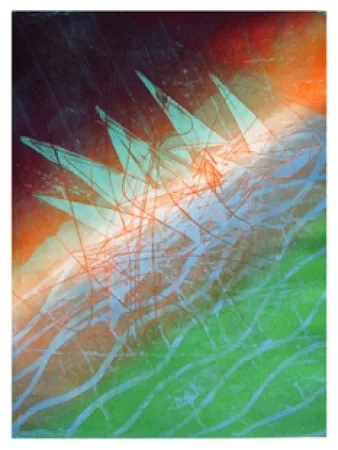 Incisione Hayter - Fastnet