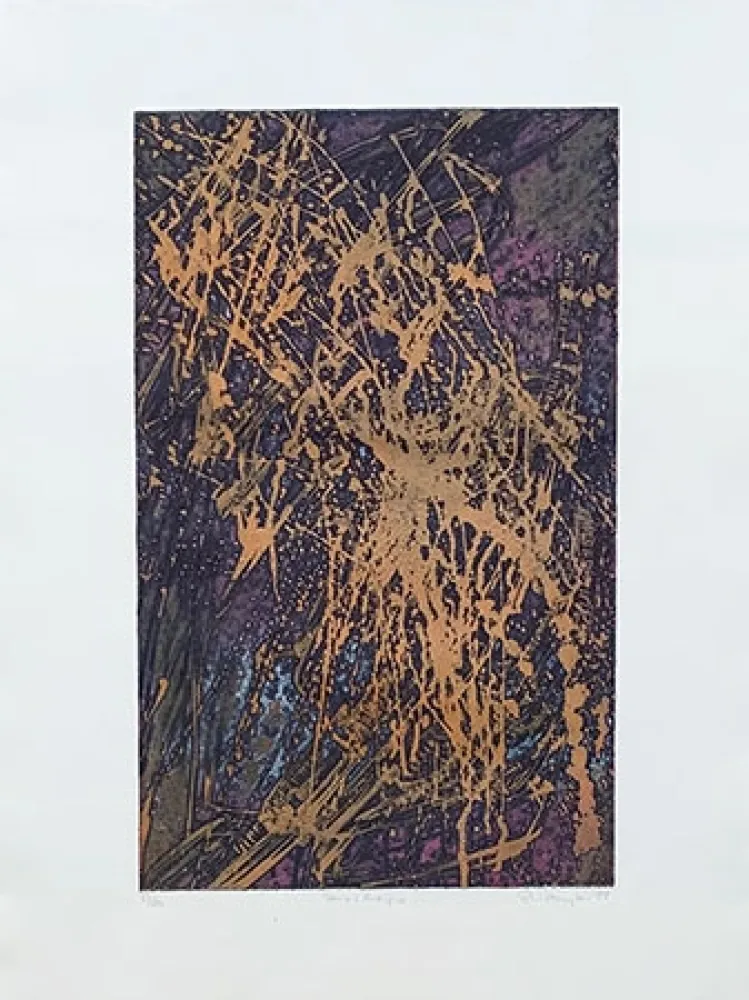 Incisione Hayter - Feu d'artifice