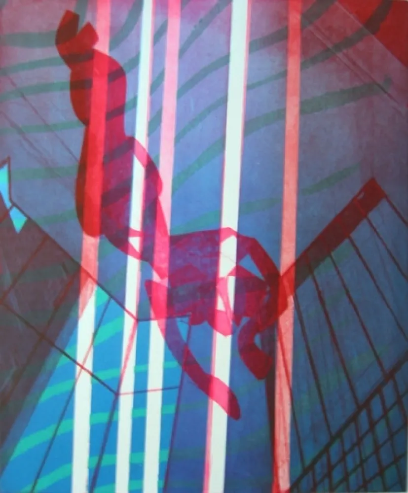 Incisione Hayter - Indoor swimmer