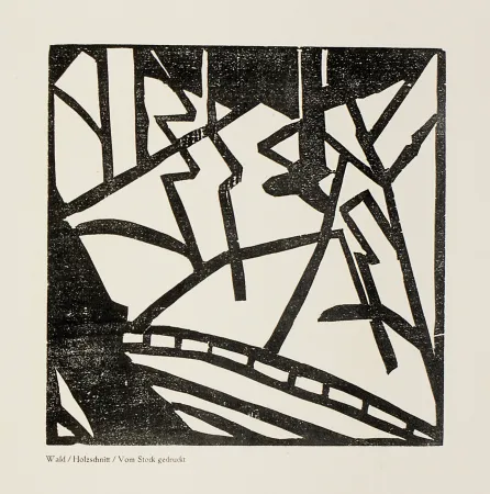 Incisione Su Legno Heemskerck,  - Sturm-Bilderbuch VII 