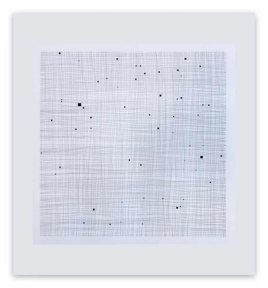 Non Tecnico Henderson - Terms and Conditions