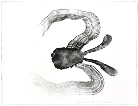 Litografia Henin - Auportrait en carpe XIV