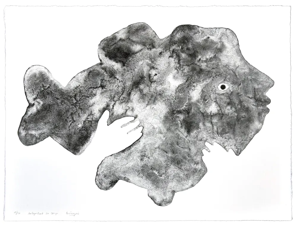 Litografia Henin - Autoportrait en Carpe