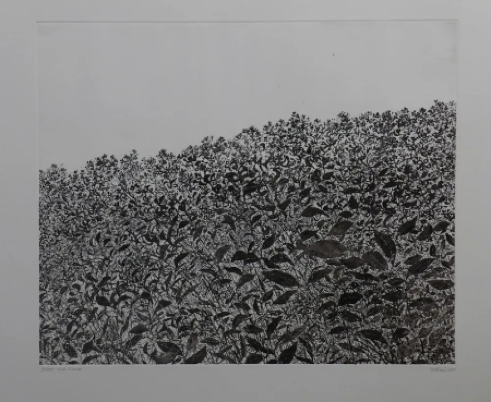 Acquaforte Henry - Sans titre