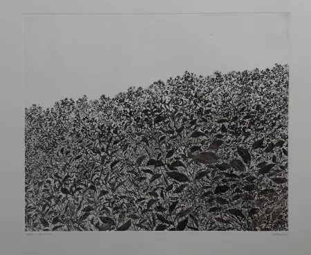 Acquaforte Henry - Sans titre