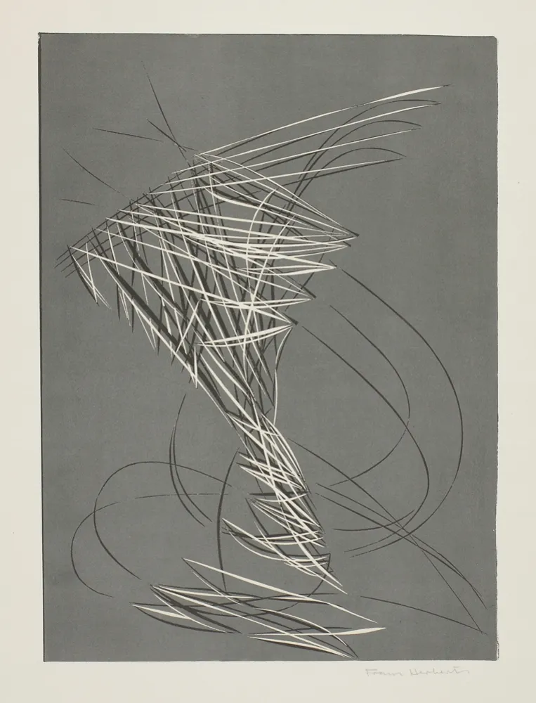 Linoincisione Herberth - Untitled