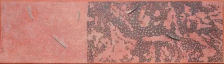 Acquaforte E Acquatinta Herman - L' origine des origines