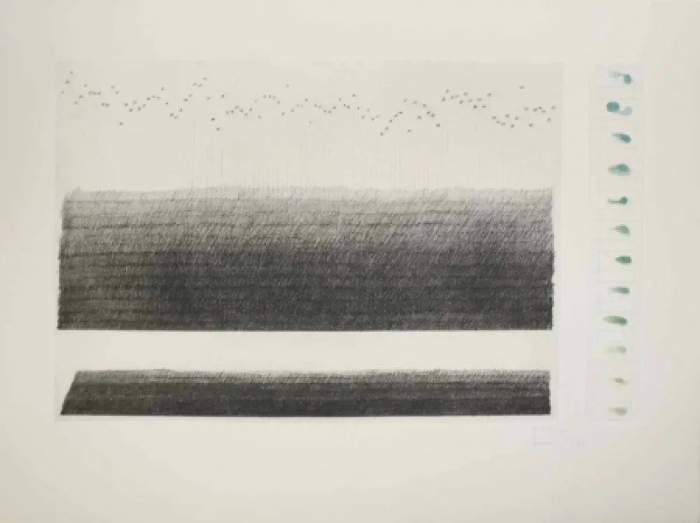 Acquaforte E Acquatinta Hernandez Pijuan - Acotacions II