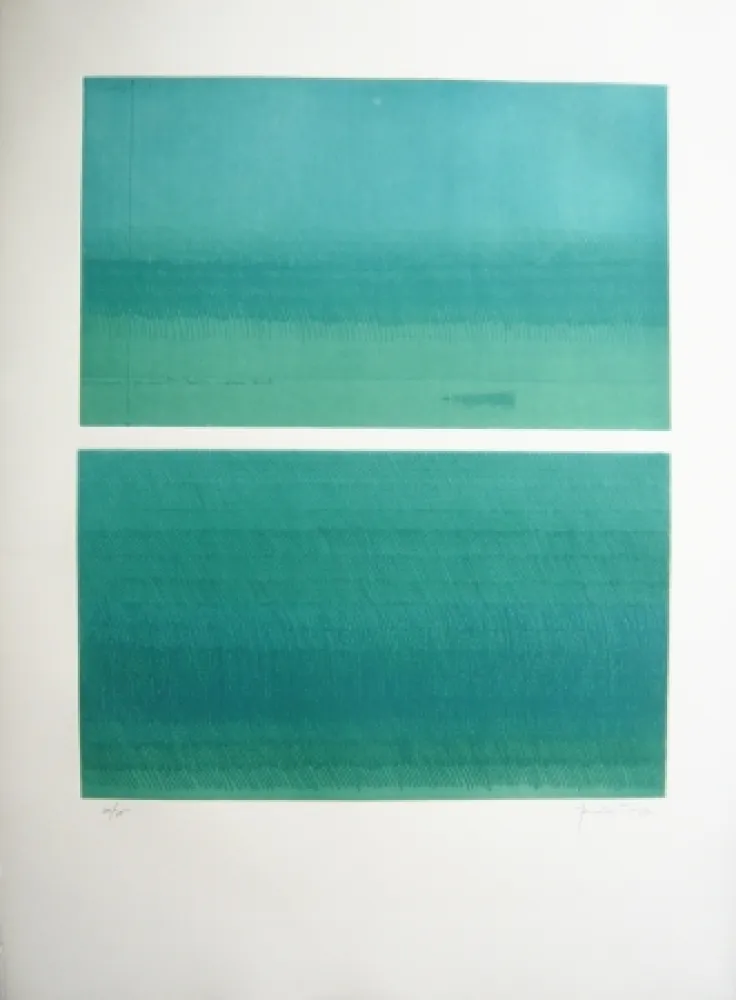 Incisione Hernandez Pijuan - Doble paisatge