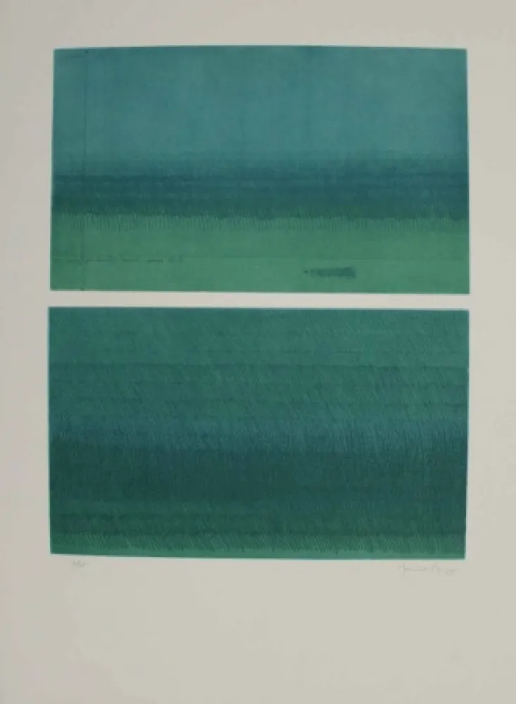 Acquaforte E Acquatinta Hernandez Pijuan - Doble paisatge