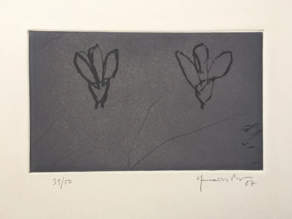 Incisione Hernandez Pijuan - Flores sobre gris