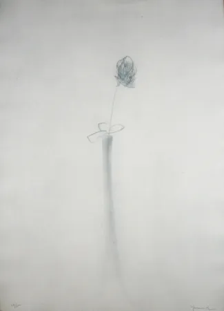 Incisione Hernandez Pijuan - Gerro i flor