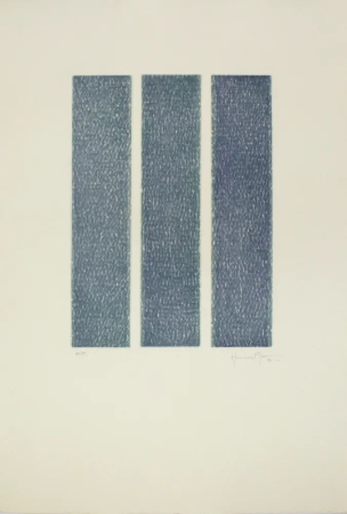 Acquatinta Hernandez Pijuan - HP 13