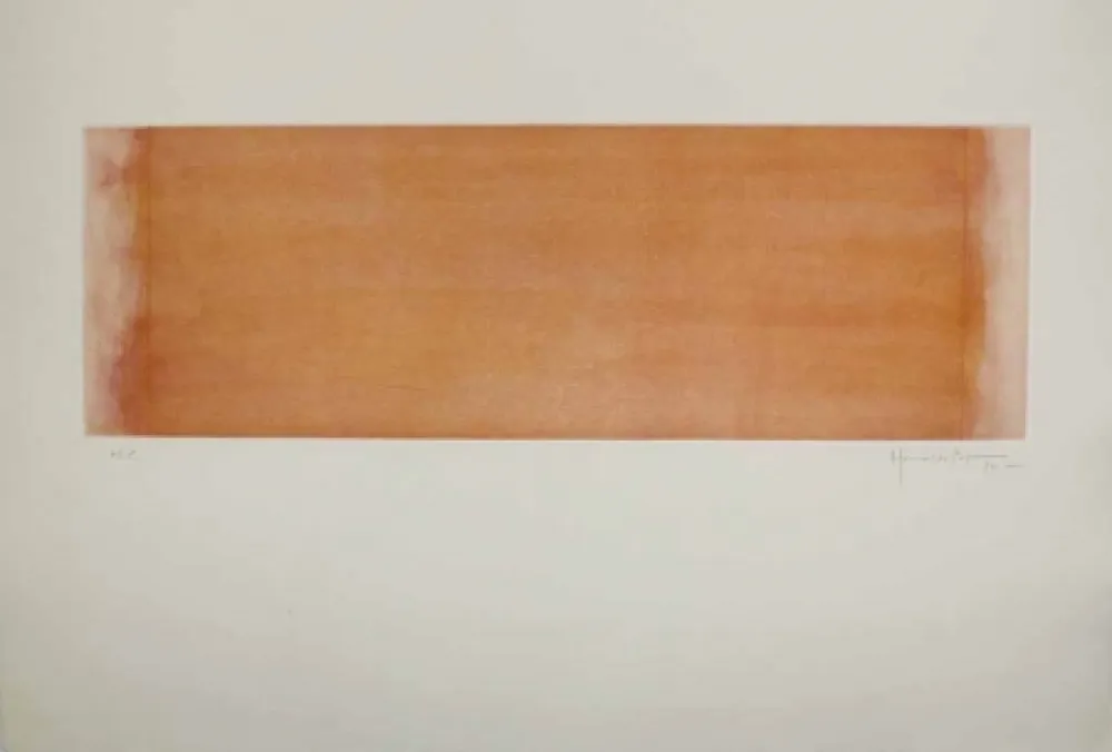 Acquaforte E Acquatinta Hernandez Pijuan - HP 14