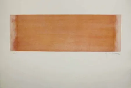 Acquaforte E Acquatinta Hernandez Pijuan - HP 14