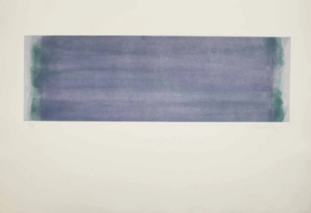 Acquaforte E Acquatinta Hernandez Pijuan - HP 15