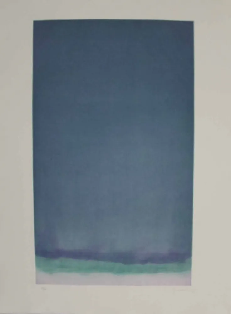 Acquaforte E Acquatinta Hernandez Pijuan - HP 17