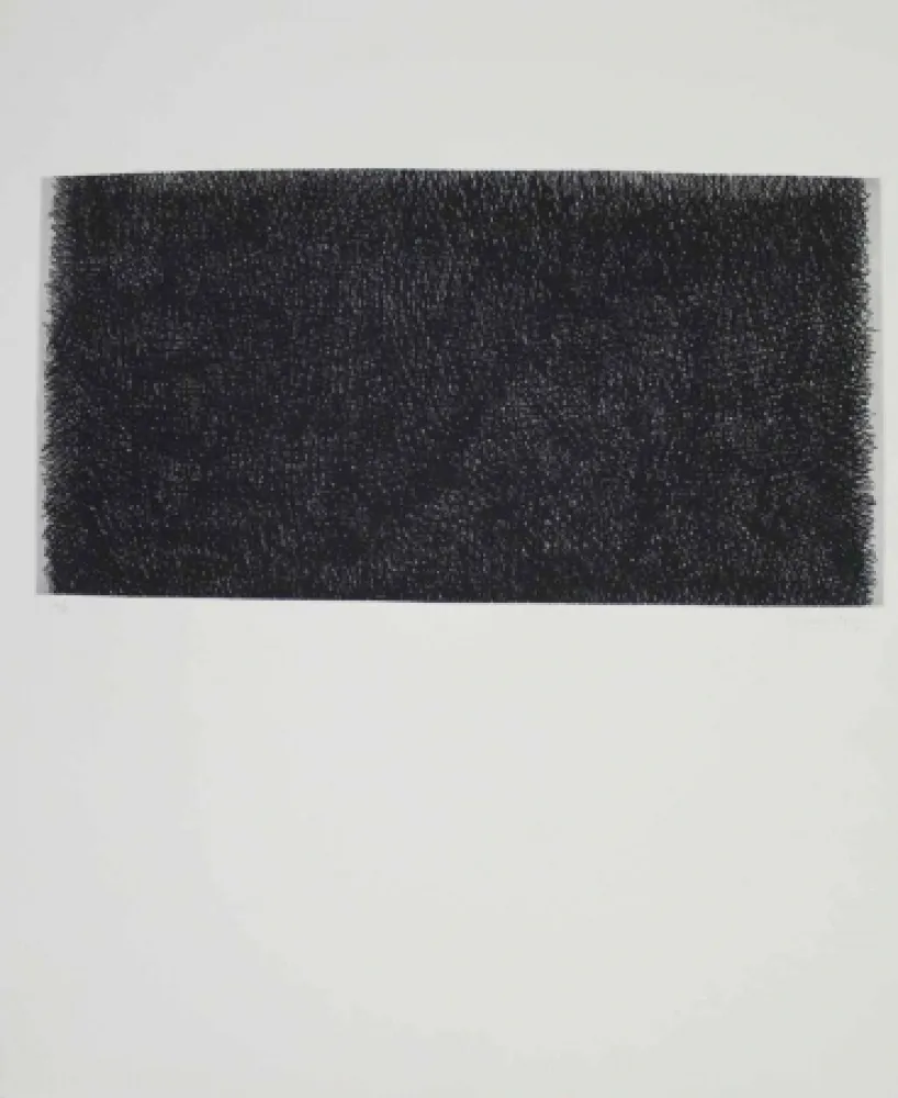 Incisione Hernandez Pijuan - HP 20