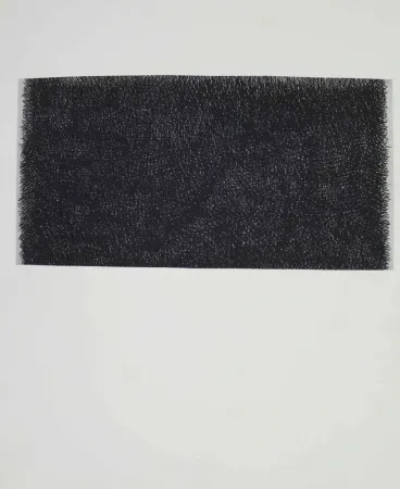 Incisione Hernandez Pijuan - HP 20