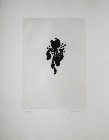 Acquatinta Hernandez Pijuan - Iris negre I (Black Iris I)