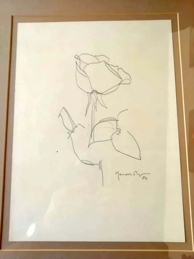 Non Tecnico Hernandez Pijuan - La Rosa - 3